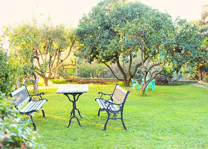 Villa Corse Et Montagne