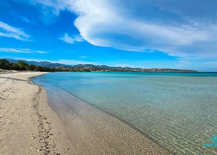Corse Et Montagne Sorbo-Ocagnano